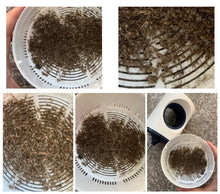 Load image into Gallery viewer, LED Mosquito Killer Lamp
